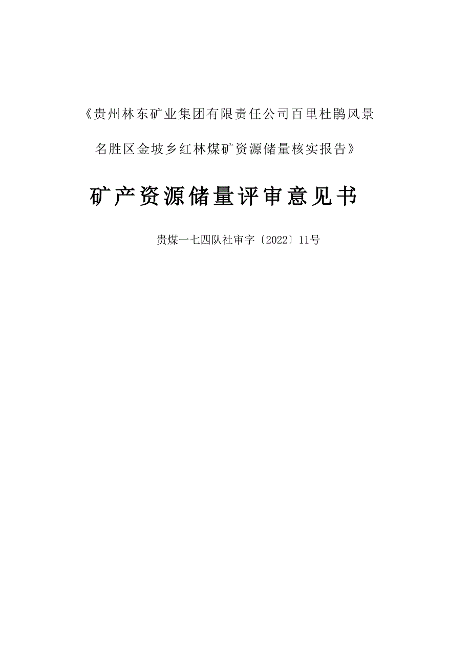 红林煤矿矿产资源储量评审意见书.docx_第1页