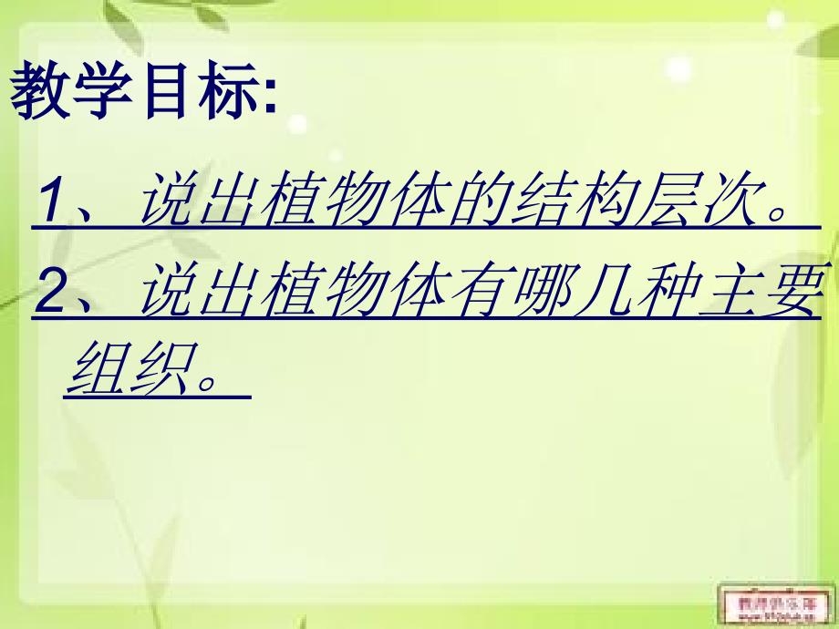 人教版七年级上册第二单元第二章第三节植物体的结构层次_第2页