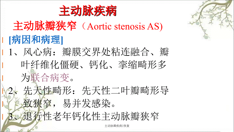 主动脉瓣疾病1恢复_第2页