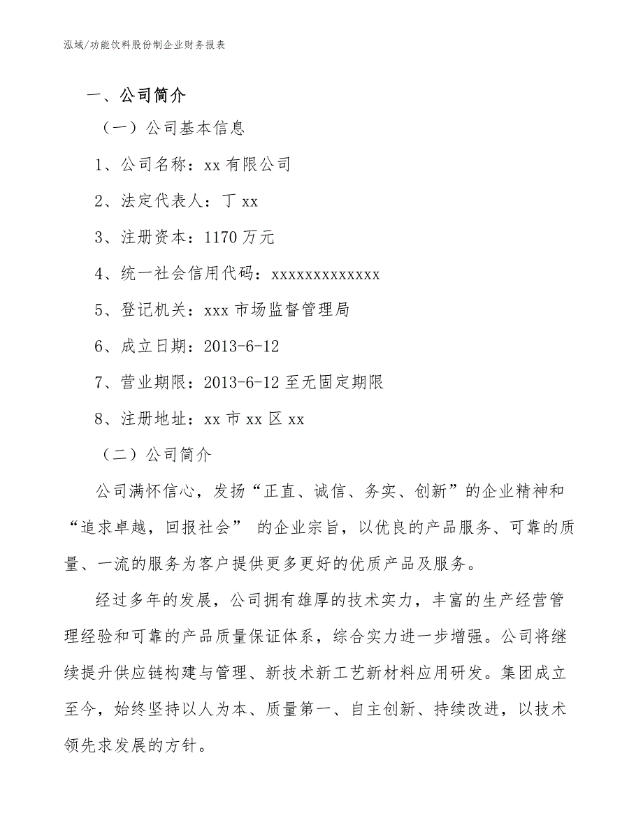 功能饮料股份制企业财务报表_第3页