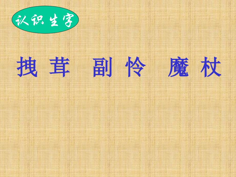 《小木偶的故事》课件-人教版小学语文四年级上册_第3页