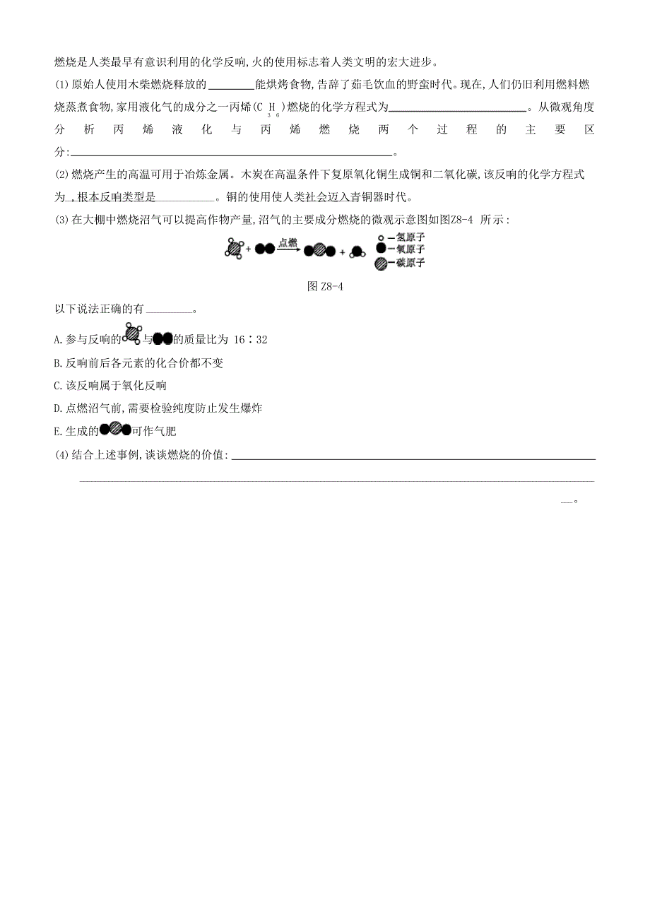 2023年中考化学考点强化练习卷：燃料的燃烧_第4页