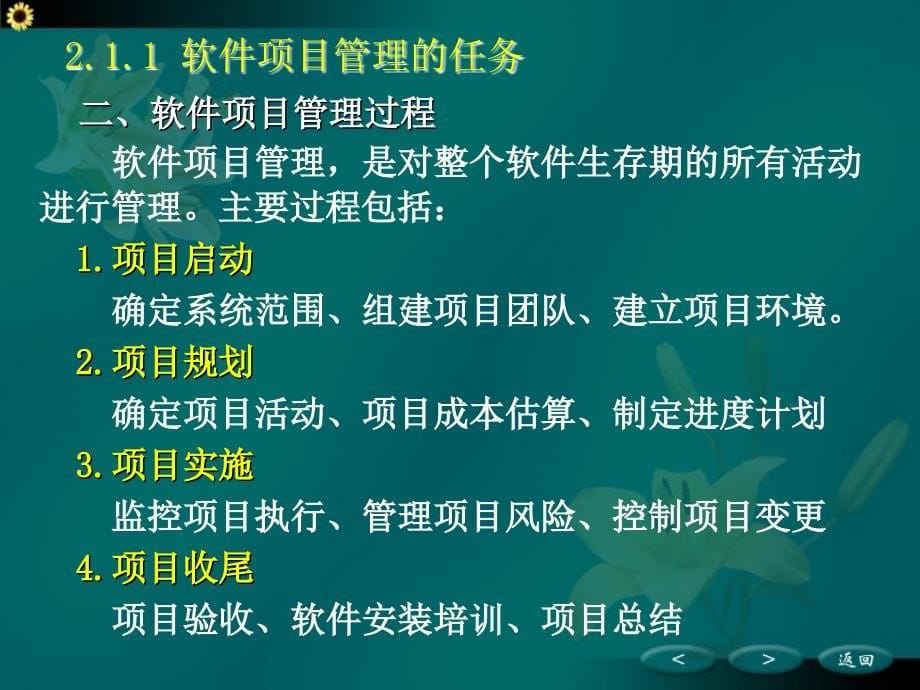 软件项目管理_第5页