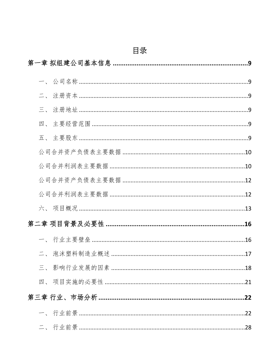 哈尔滨关于成立高分子泡沫塑料公司可行性研究报告(DOC 94页)_第2页