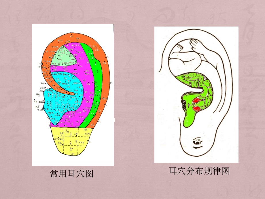 中医学课件_第4页