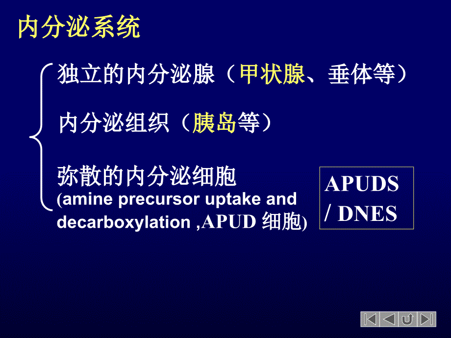 6内分泌系统疾病PPT文档资料_第2页