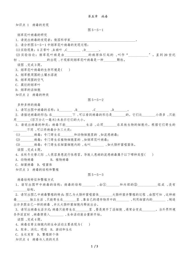 人教版八年级生物上册同步练习：第五单元 第五章　病毒