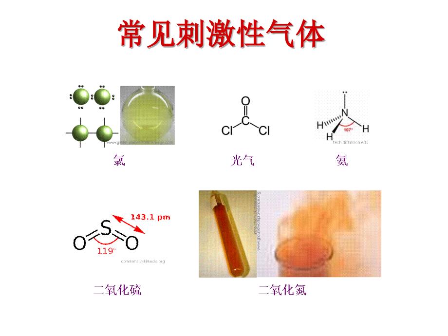 卫生学：刺激性气体_第3页