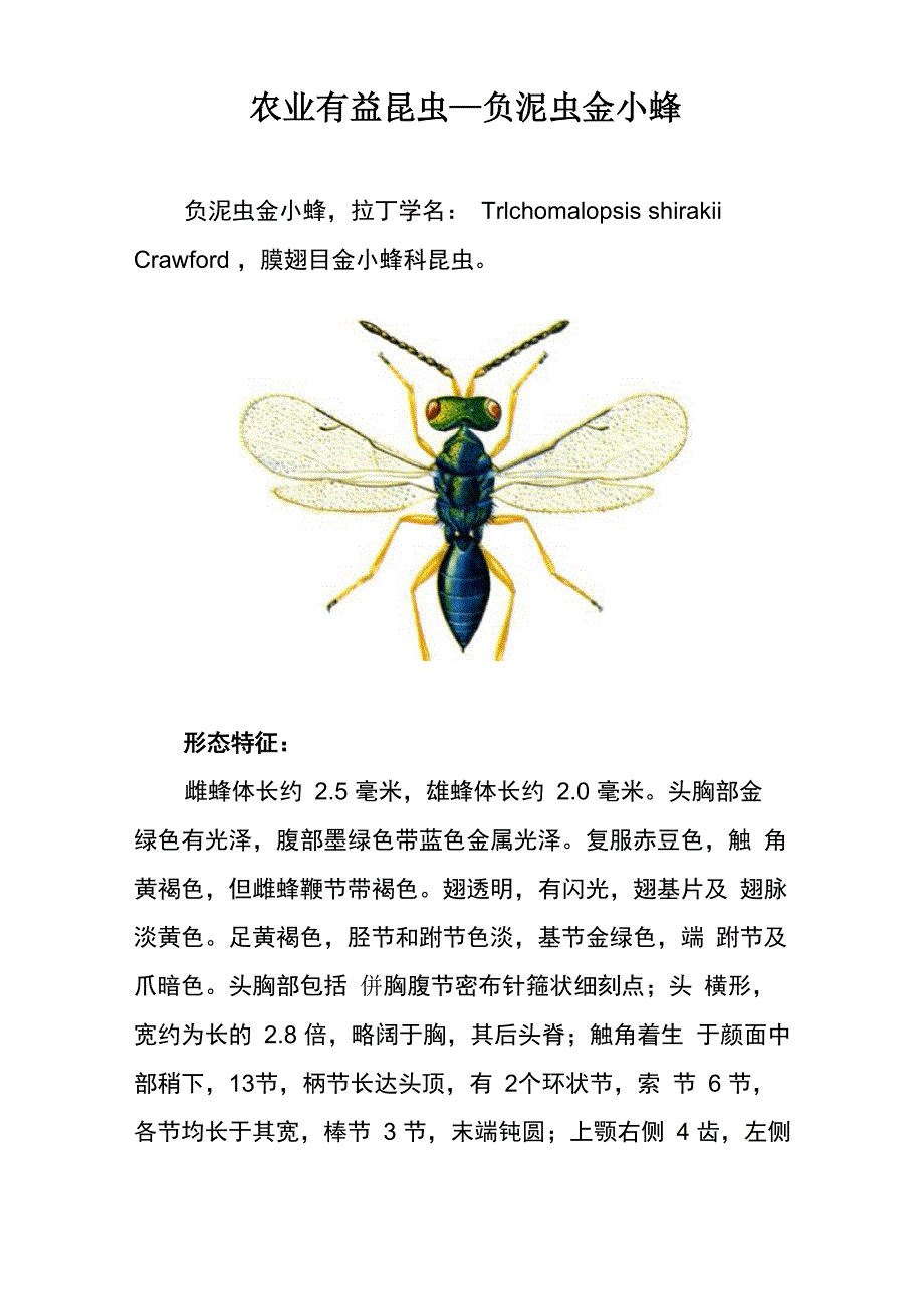 农业有益昆虫—负泥虫金小蜂_第1页