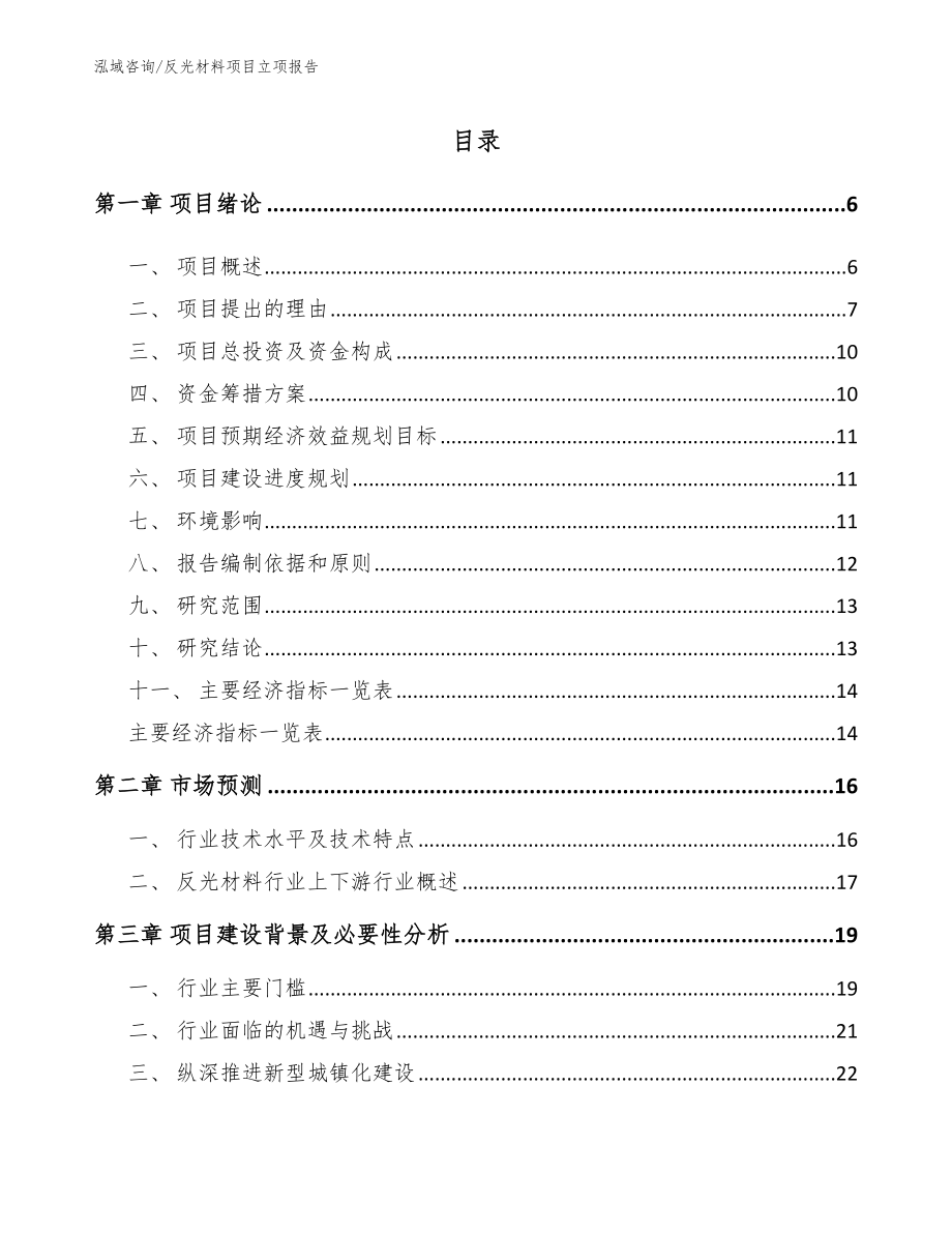 反光材料项目立项报告_范文模板_第1页