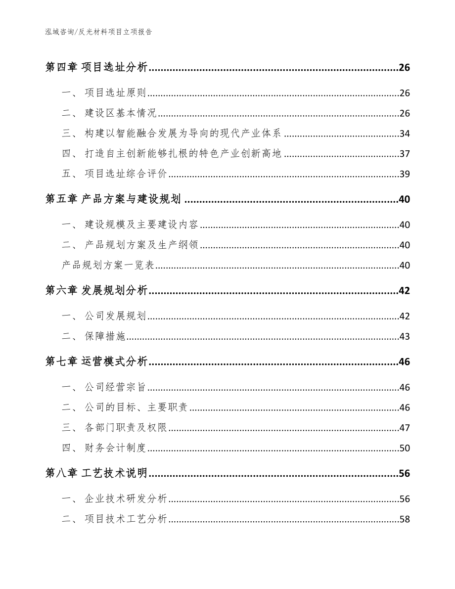 反光材料项目立项报告_范文模板_第2页