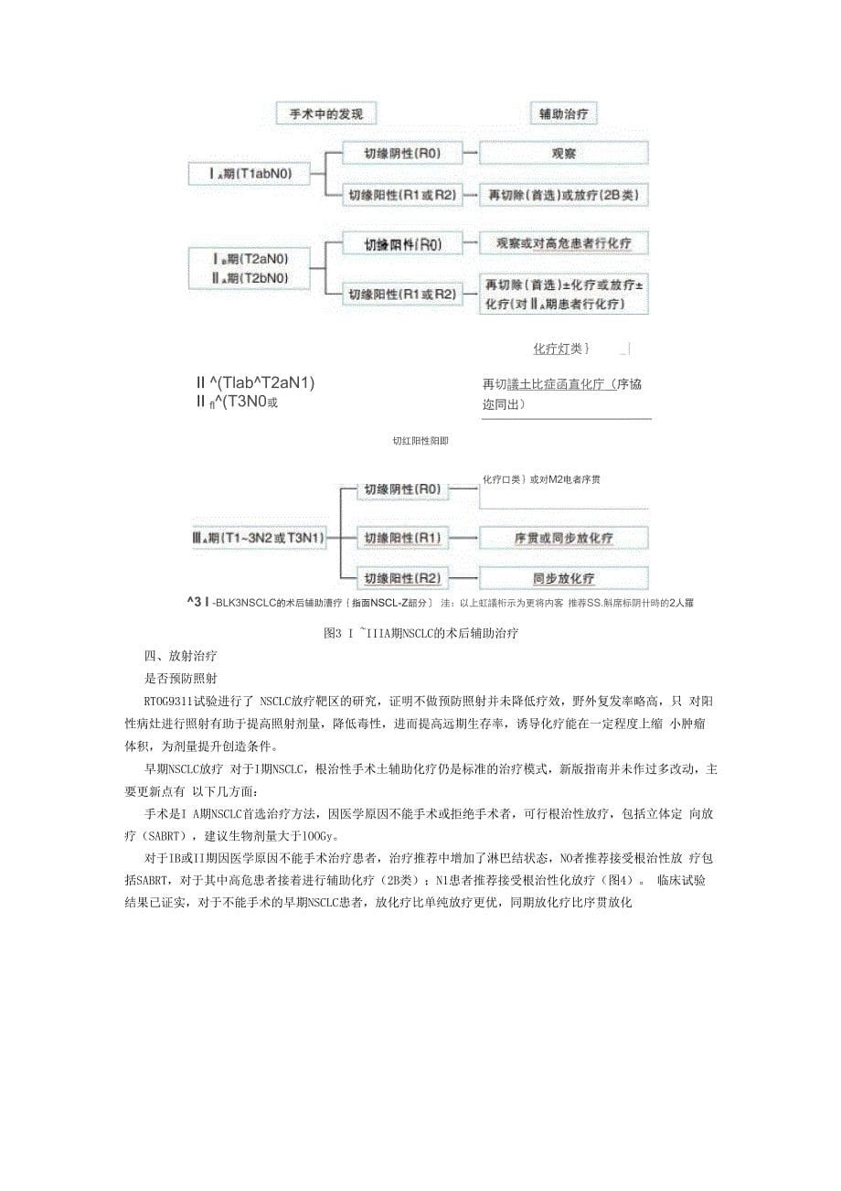 2014年NCCN非小细胞肺癌指南解读_第5页