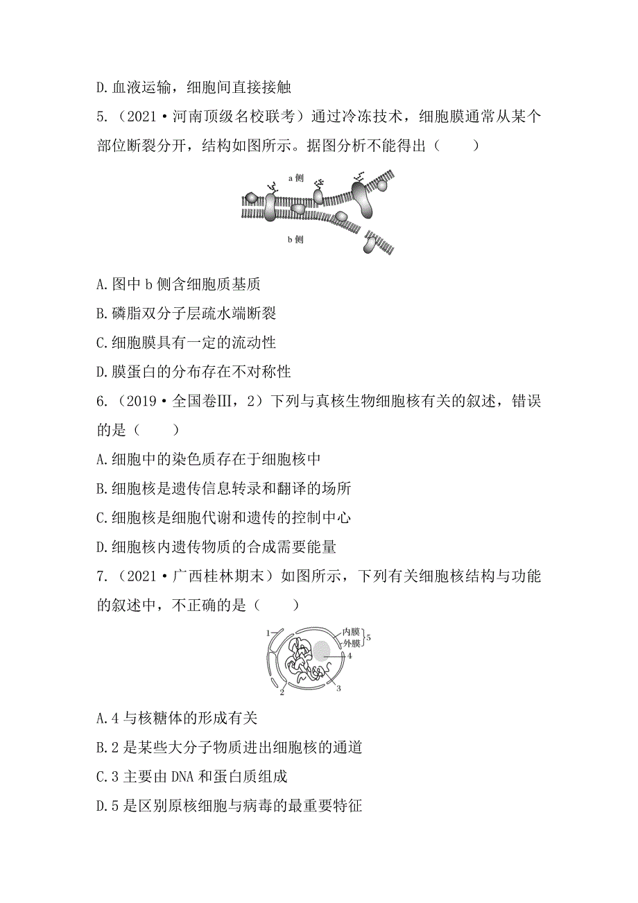 高三生物一轮复习同步练习：细胞膜与细胞核.docx_第2页