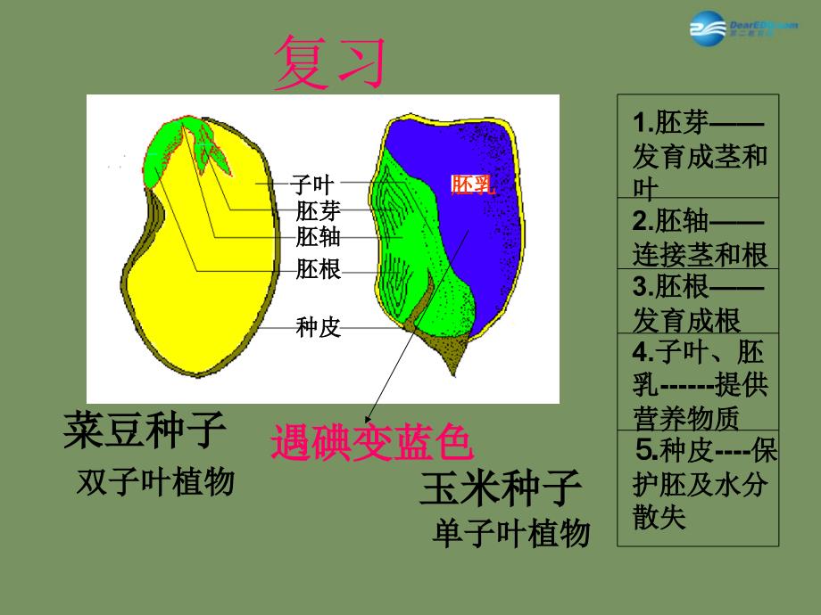 人教初中生物七上第3单元第2章第1节种子的萌发PPT课件4_第1页