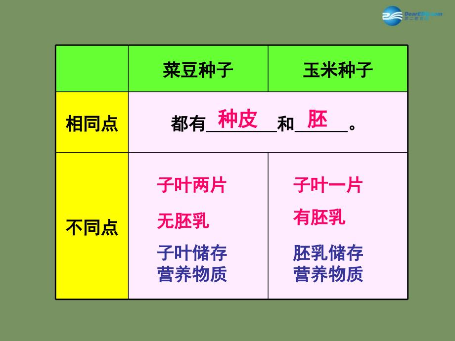 人教初中生物七上第3单元第2章第1节种子的萌发PPT课件4_第3页