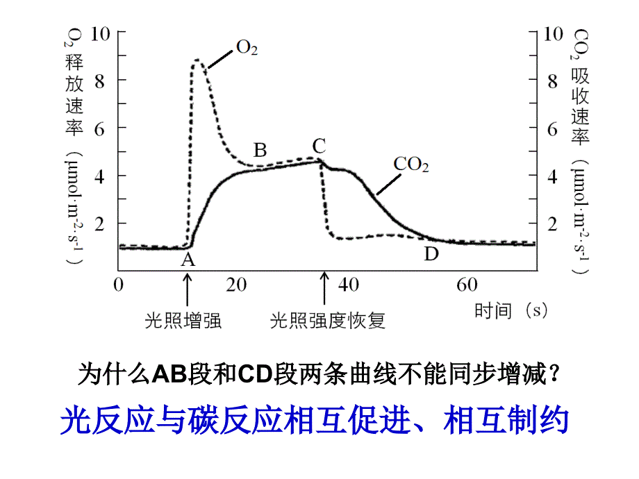 平阳中学庄小棉_第3页