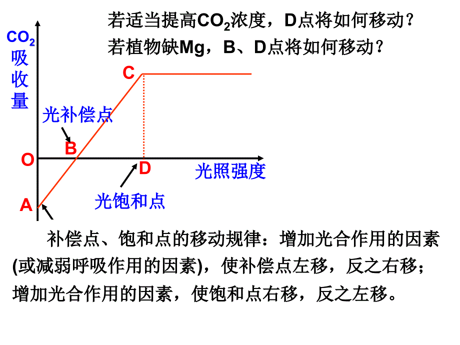 平阳中学庄小棉_第4页