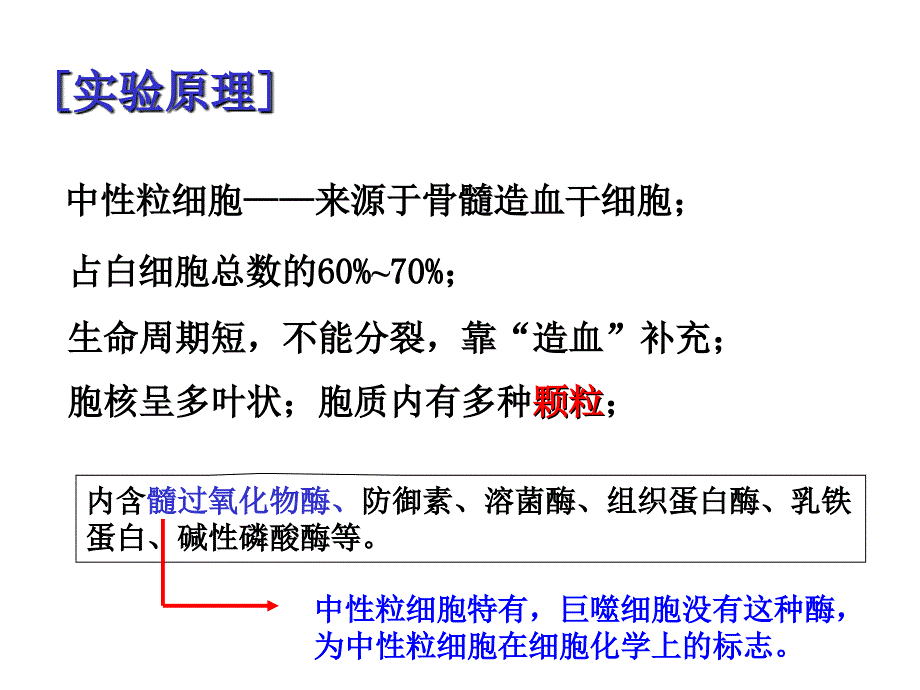 小吞噬实验.ppt_第4页