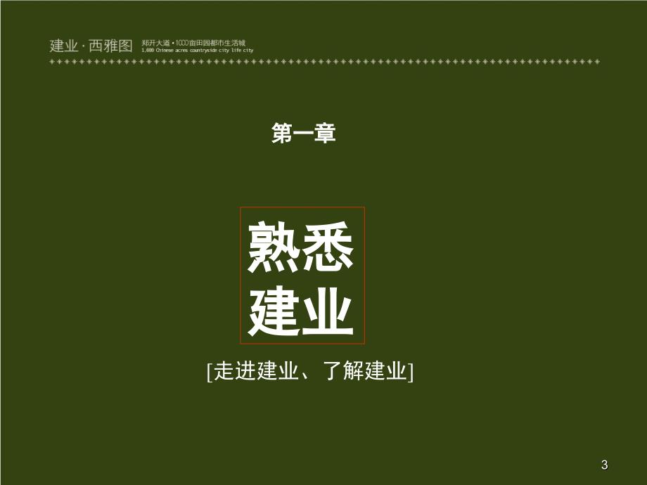 郑州建业西雅图项目整合策略方案166PPT浩文世纪_第3页