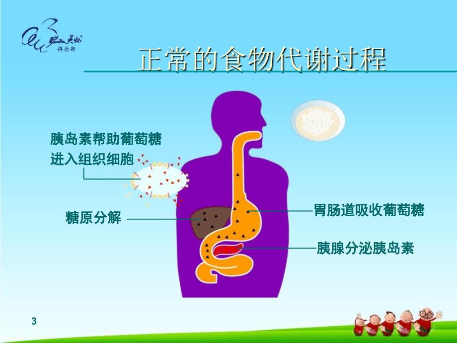 糖尿病健康知识讲座_第3页