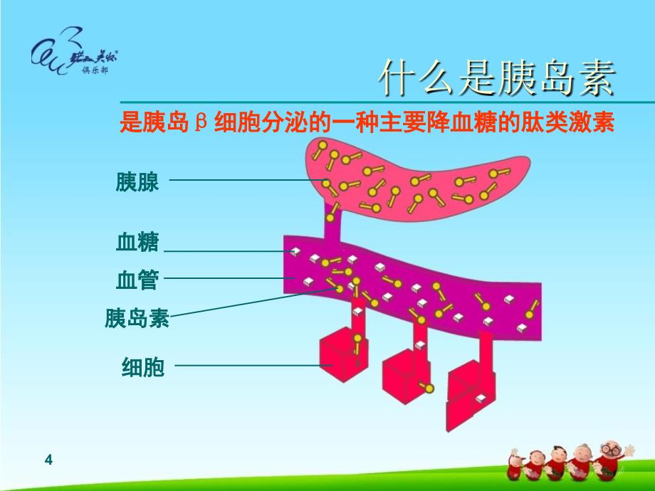 糖尿病健康知识讲座_第4页