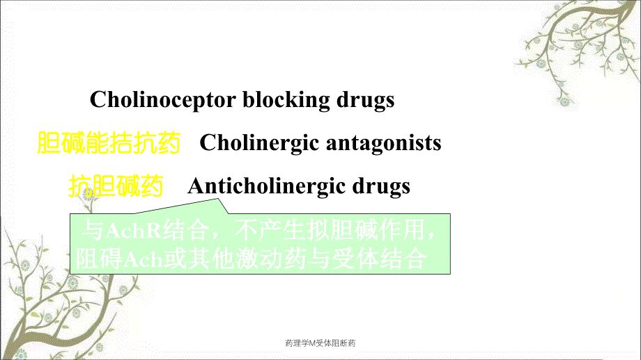 药理学M受体阻断药_第2页