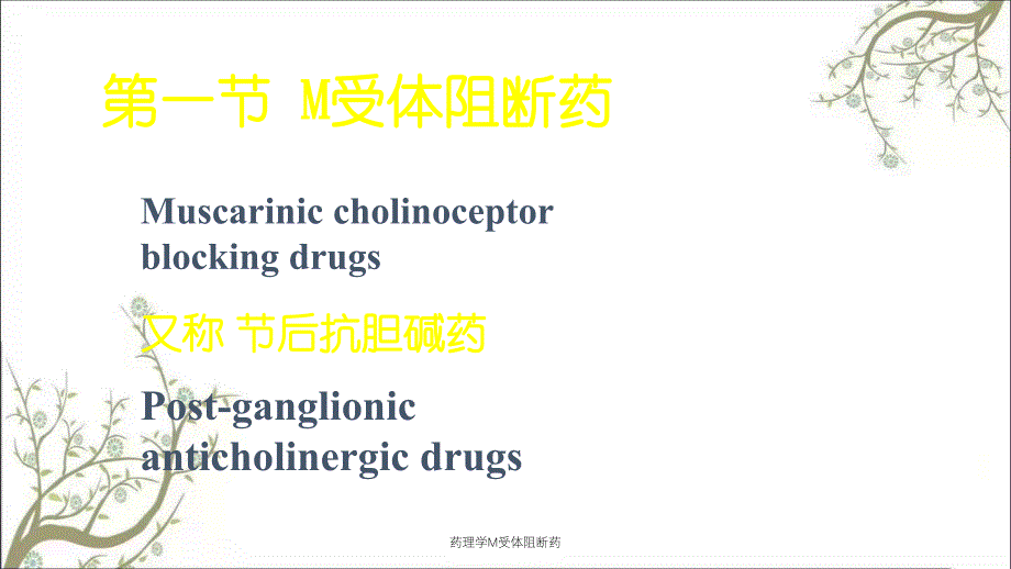 药理学M受体阻断药_第4页