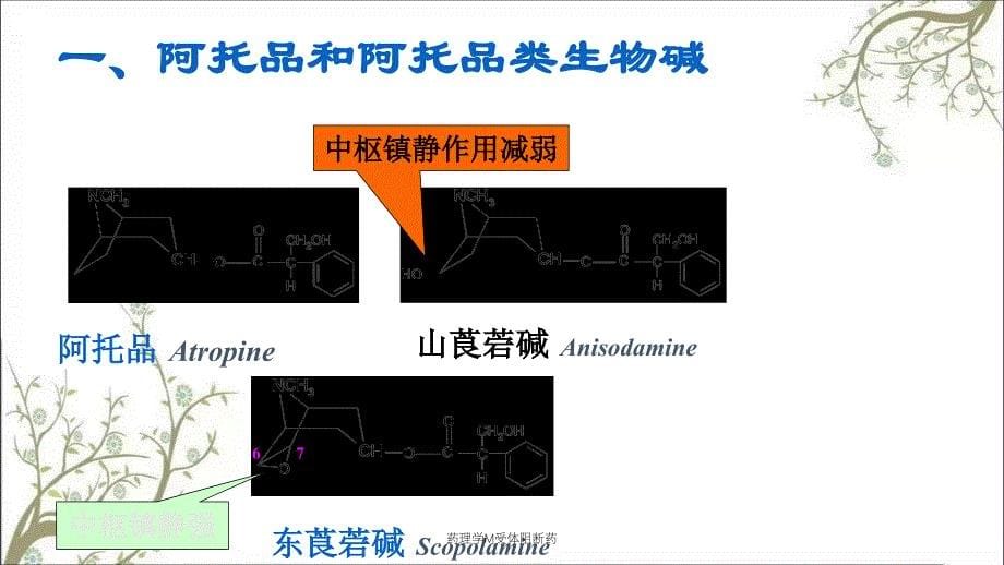 药理学M受体阻断药_第5页