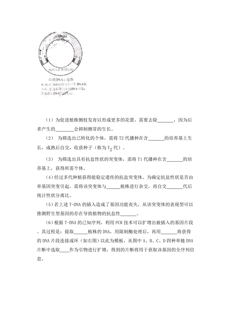 2011年北京生物试题.doc_第4页