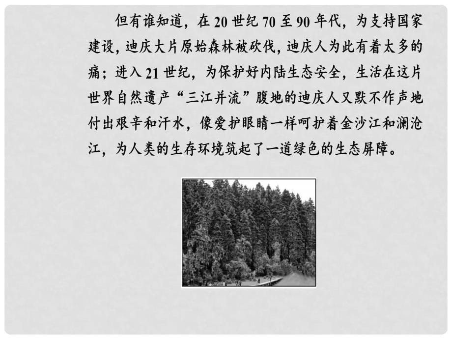 高中地理 第四章 生态环境保护 第一节 森林及其保护课件 新人教版选修6_第5页