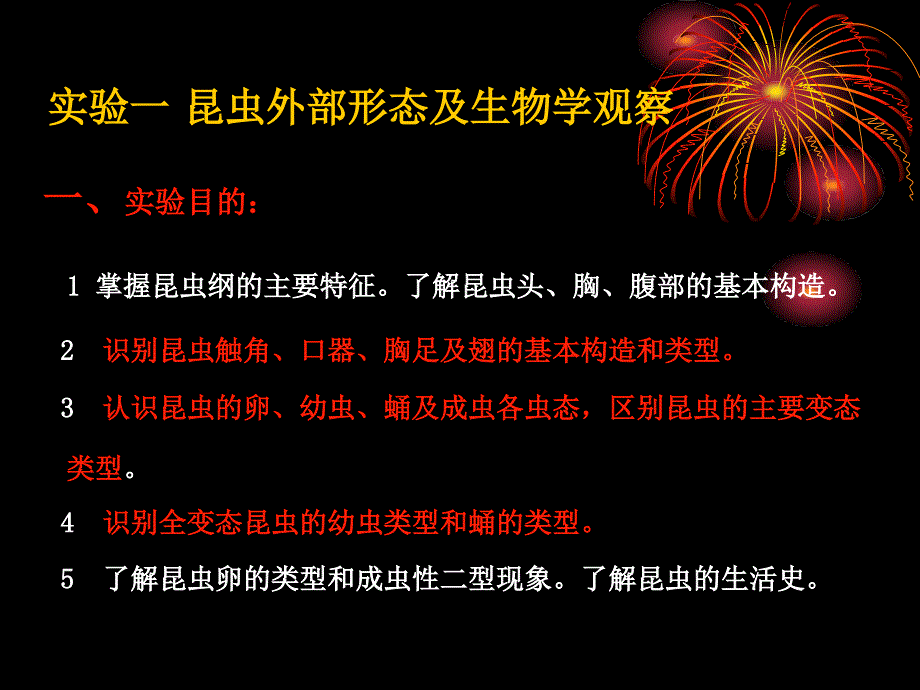 昆虫外部形态及生物学观察_第4页