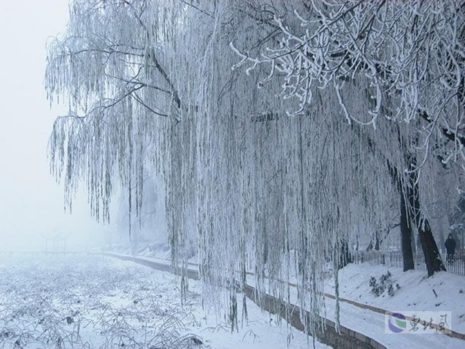 好《雪地里的小画家》课件 (2)_第2页