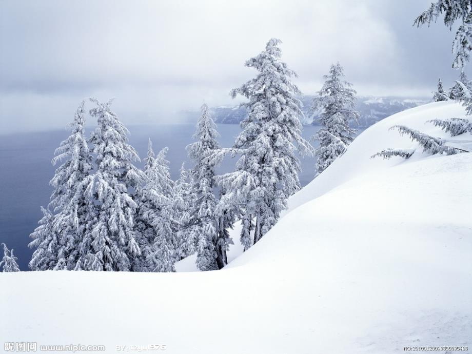 好《雪地里的小画家》课件 (2)_第4页