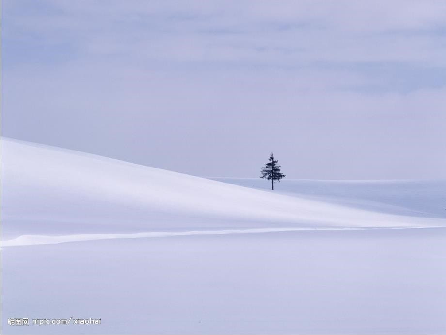 好《雪地里的小画家》课件 (2)_第5页