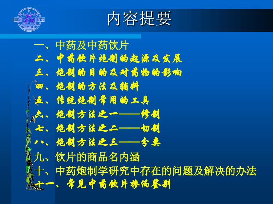 中药饮片与炮制ppt课件_第2页