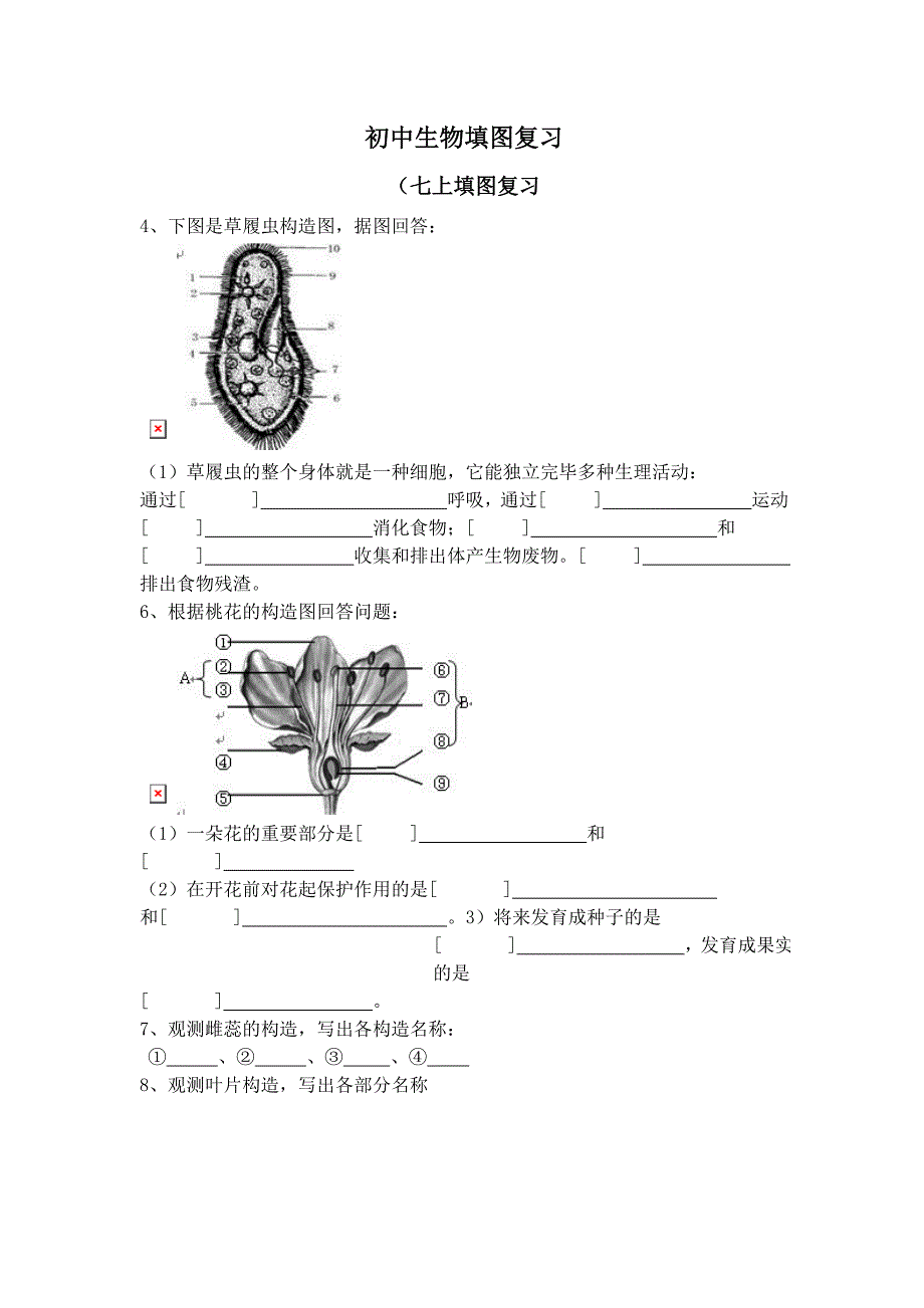 初中生物填图复习_第1页