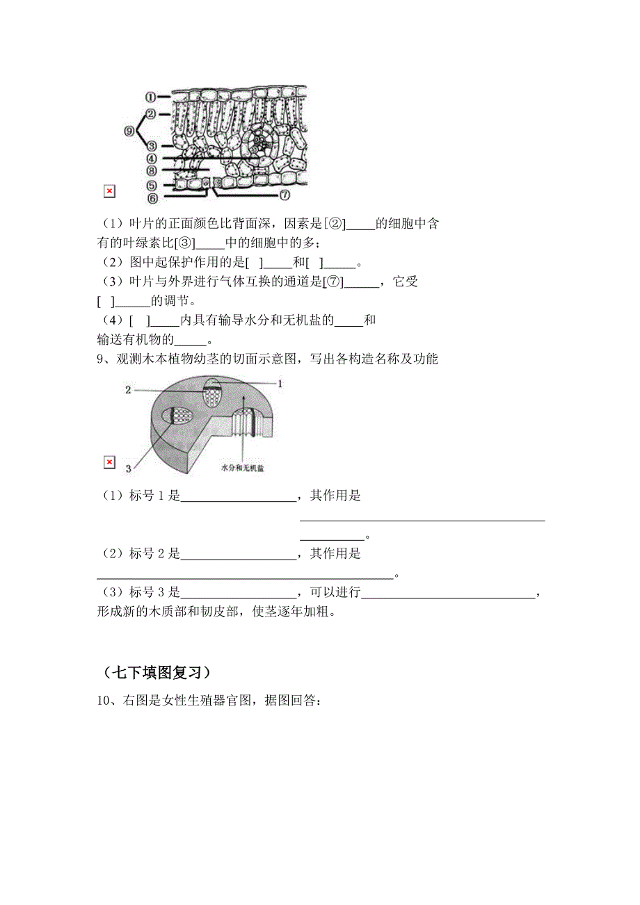 初中生物填图复习_第2页