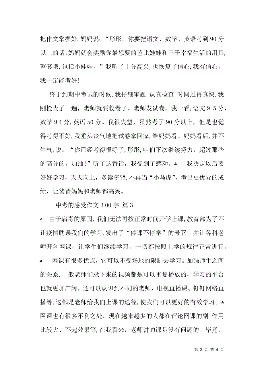 中考的感受作文300字合集五篇_第2页