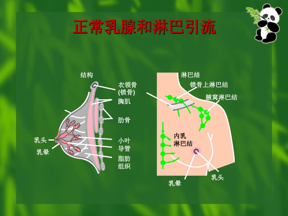 乳腺癌TNM分期_第1页