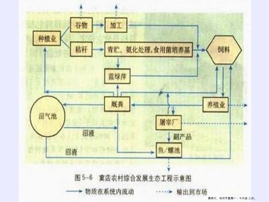 生态工程的实例和发展前景上课用_第4页