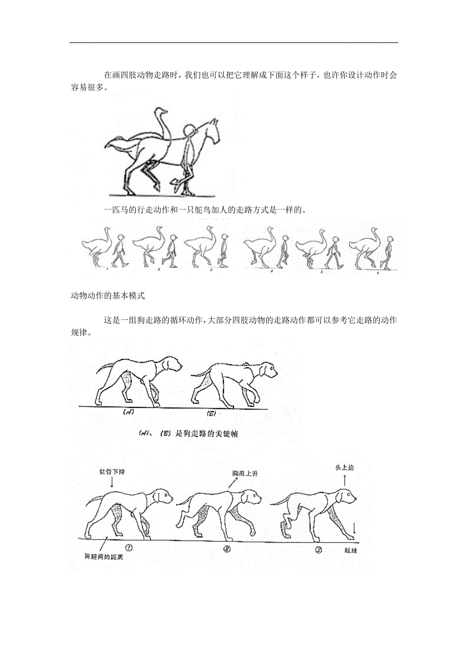 动物动作设计_第2页