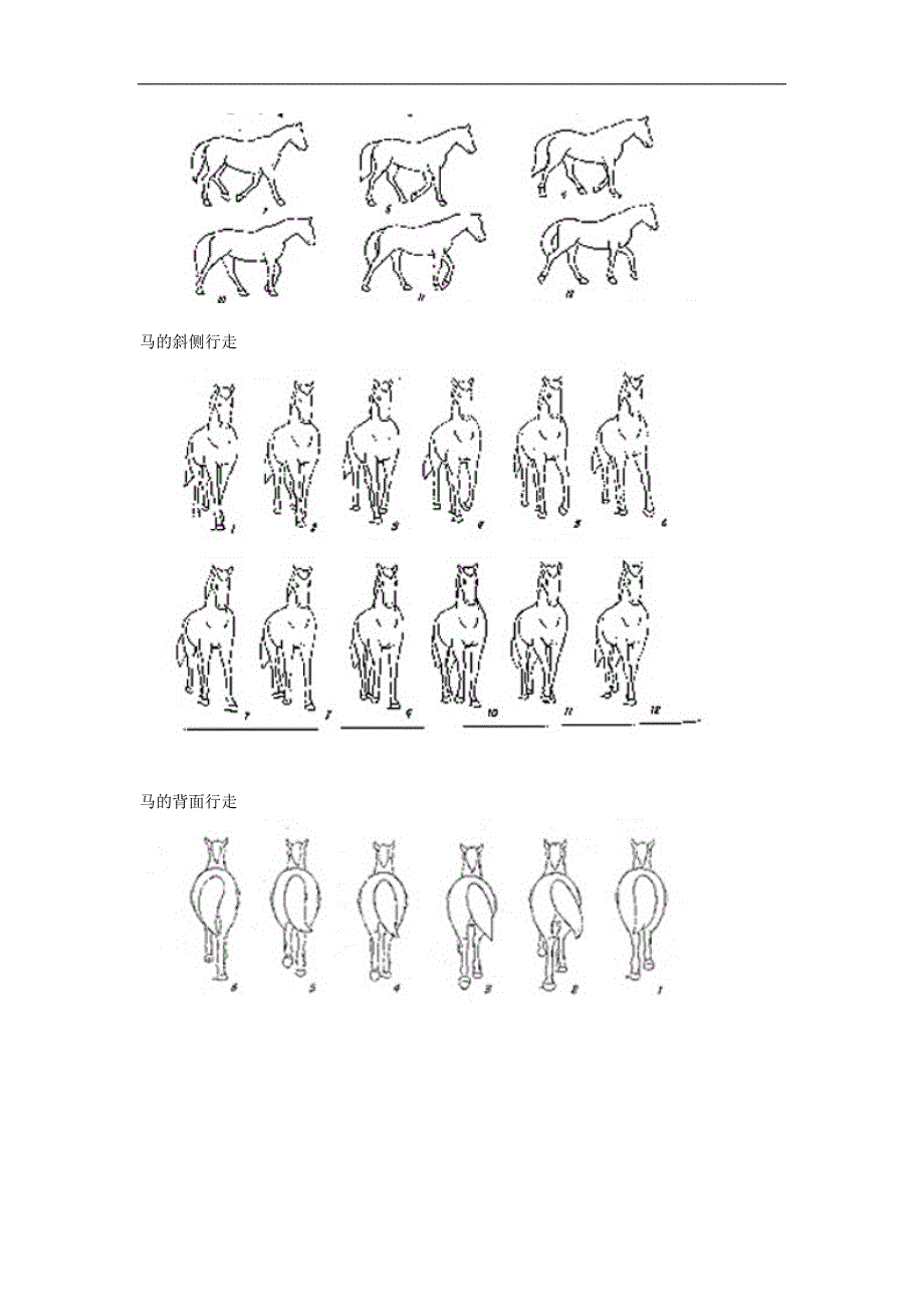 动物动作设计_第5页