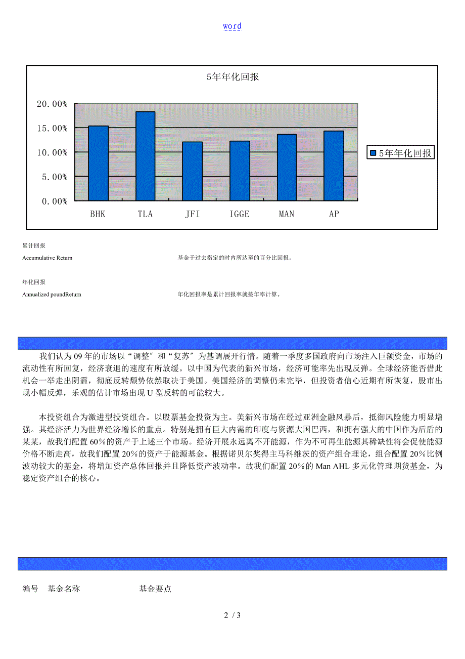 激进型投资组合_第2页