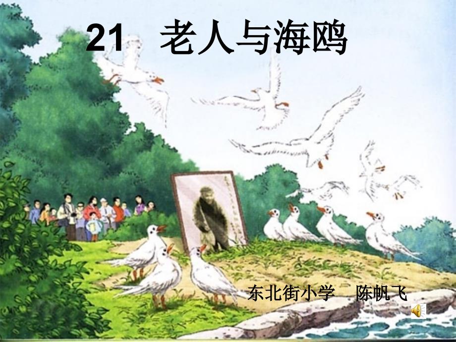 21老人与海鸥_第1页