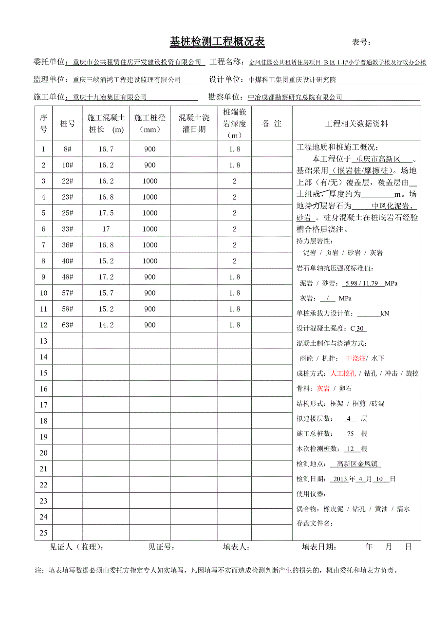 基桩检测工程概况表_第1页