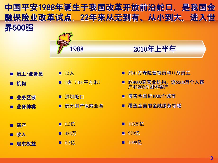 795089053中国平安 打造国际领先的综合金融平台_第3页