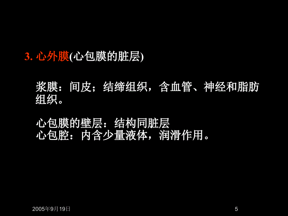 心血管系统解剖学PPT课件_第5页