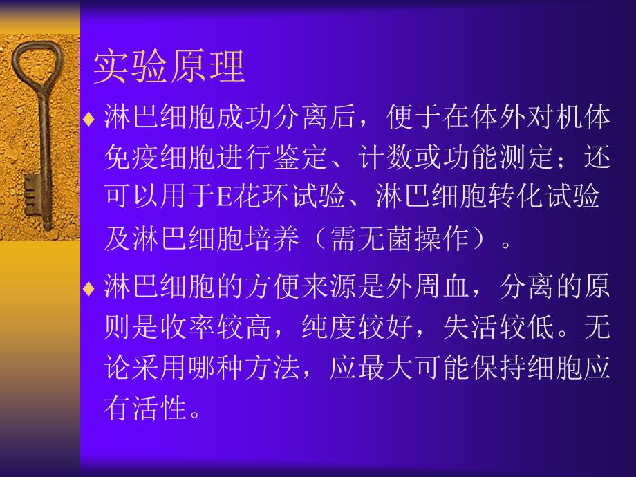 淋巴细胞分离与E玫瑰花环形成实验_第3页