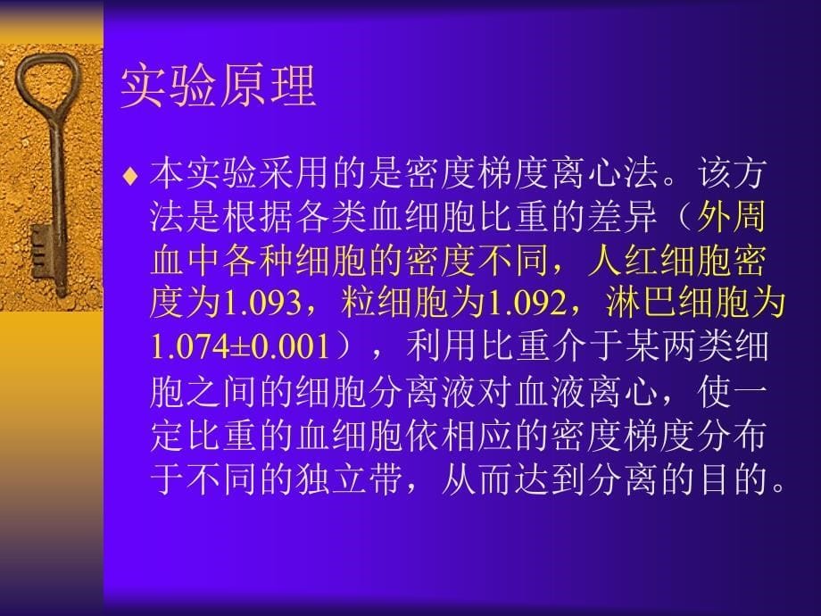 淋巴细胞分离与E玫瑰花环形成实验_第5页