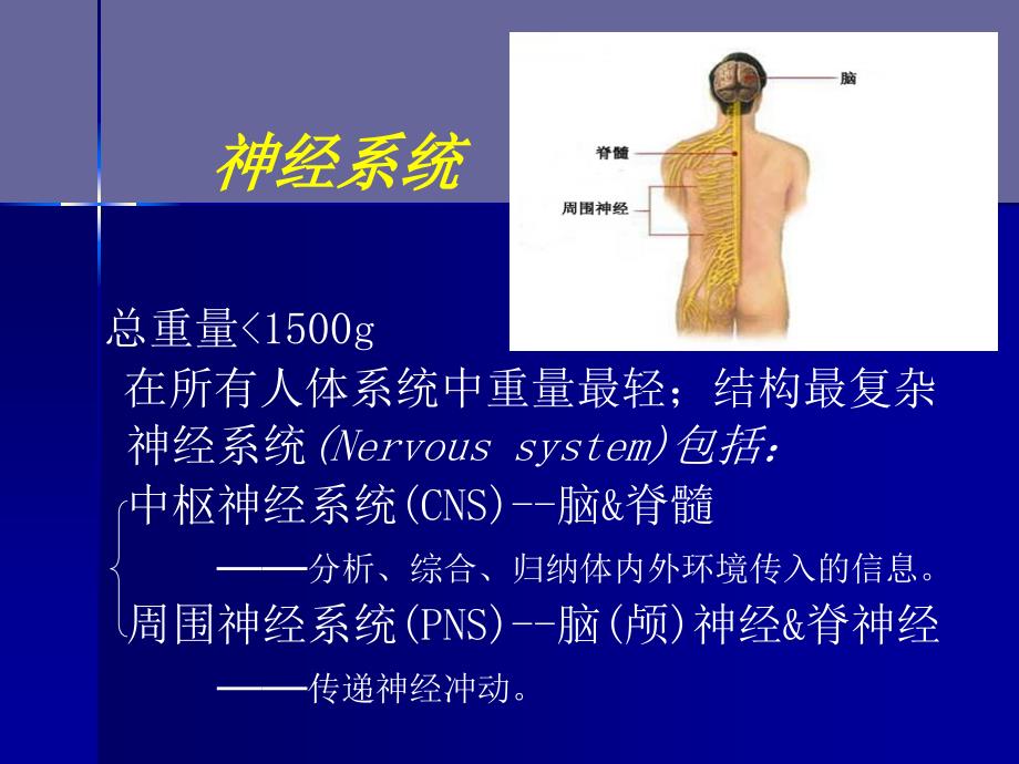 神经病学总论3PPT课件_第3页